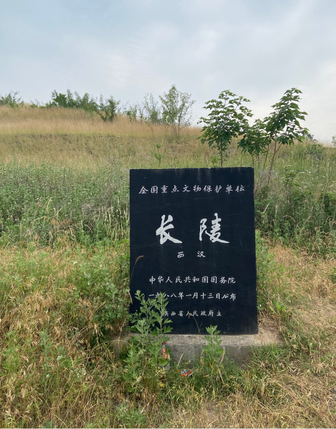 QQ截圖20240529103611.png
