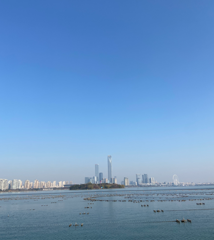 QQ截圖20250206131907.png